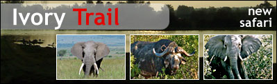 Ivory Trail Safari