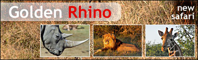 Golden Rhino and Safari